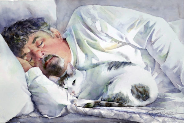 Catnapping by Kim Johnson