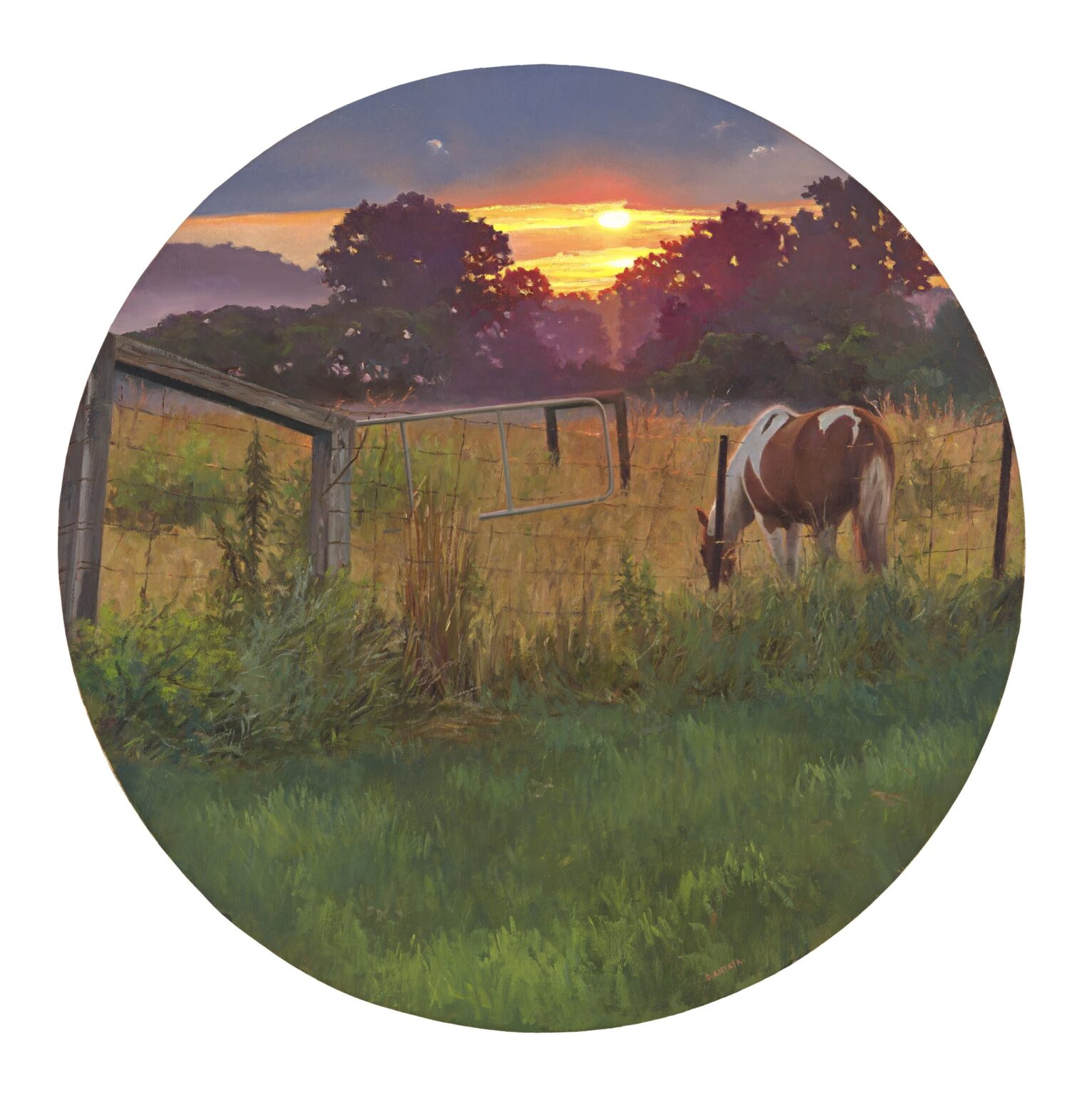 Denise Antaya, Morning At Lost River Farms