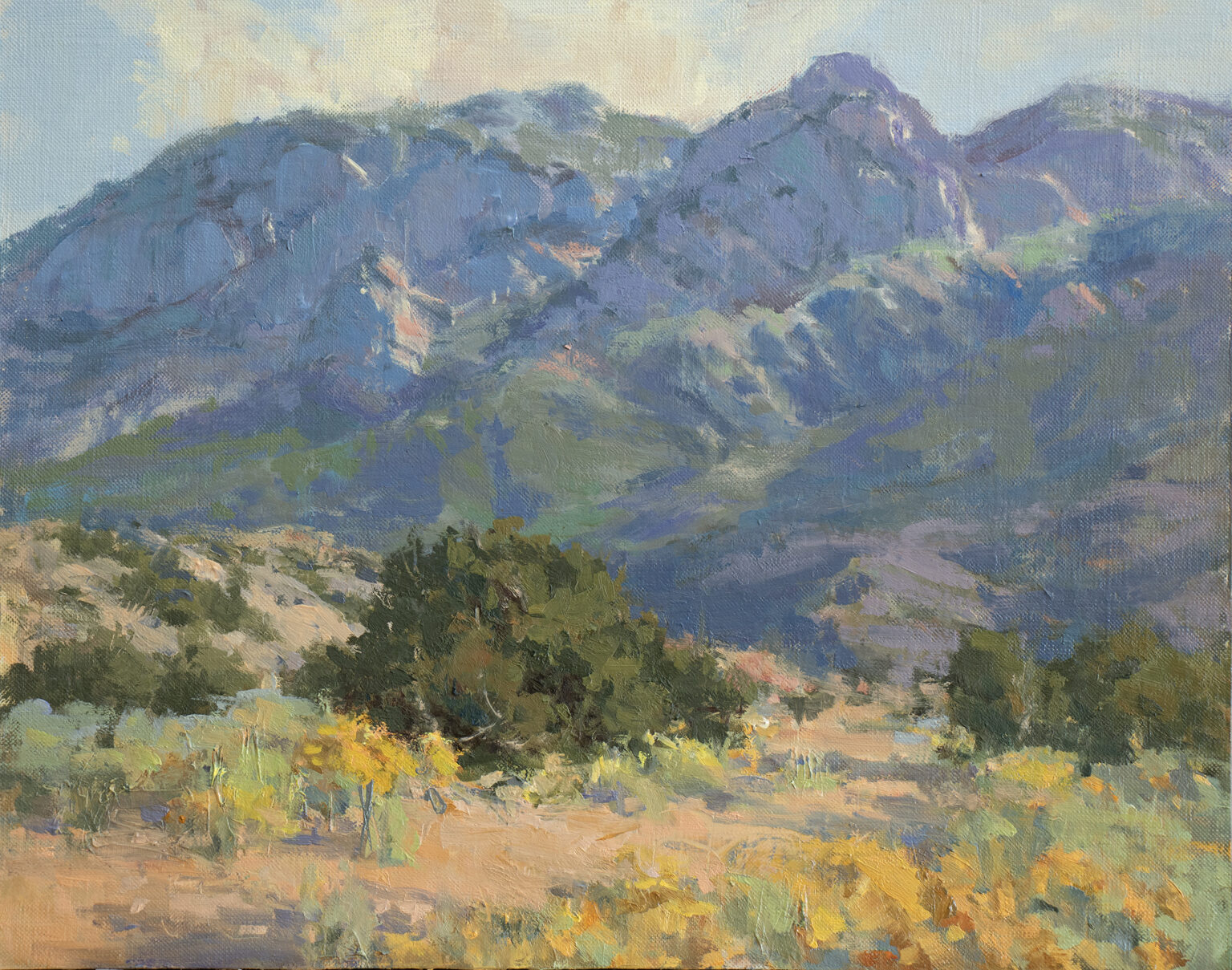 Barbara Coleman OPA, Morning&#039;s First Touch