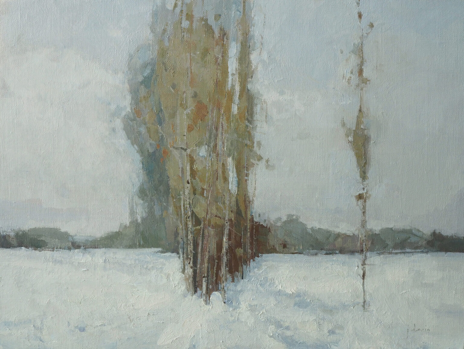 Julie Davis OPA, A Separate Harmony