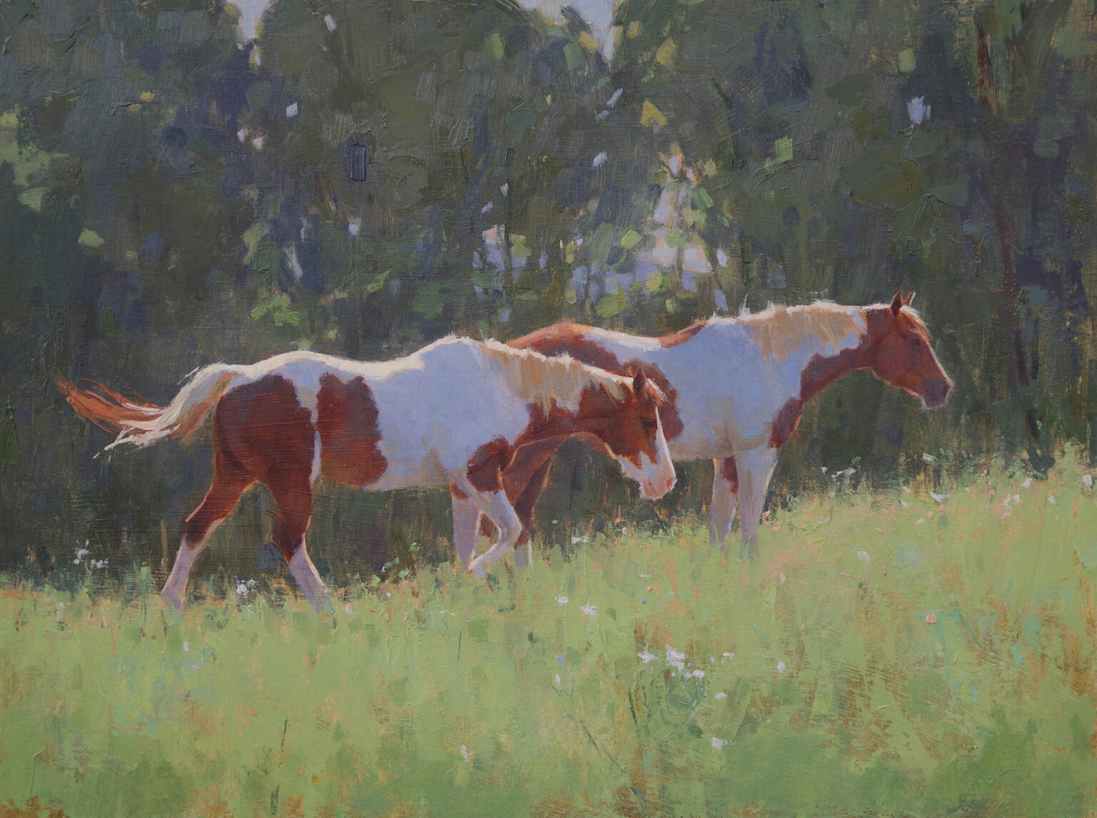 Diane Frossard, The Paints