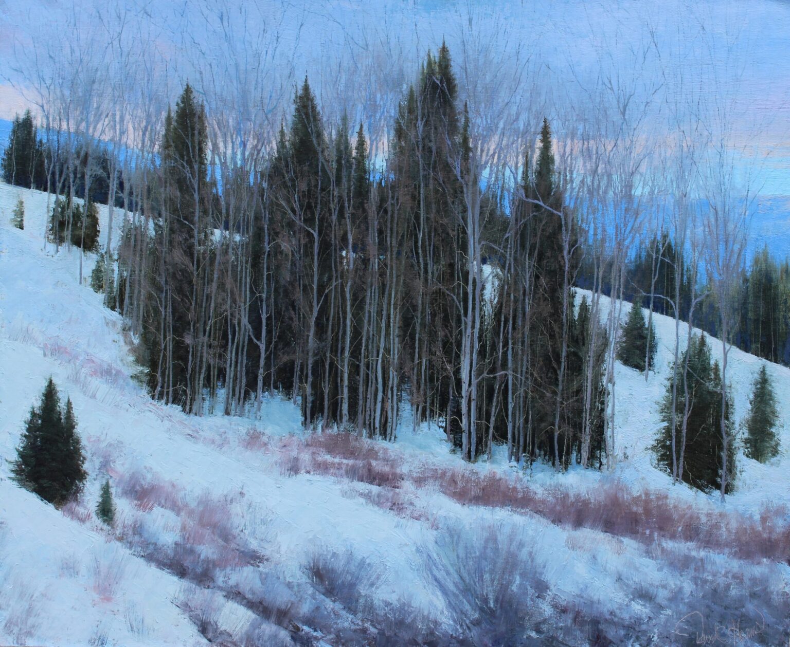 David Harms OPA, The Heart Of Winter