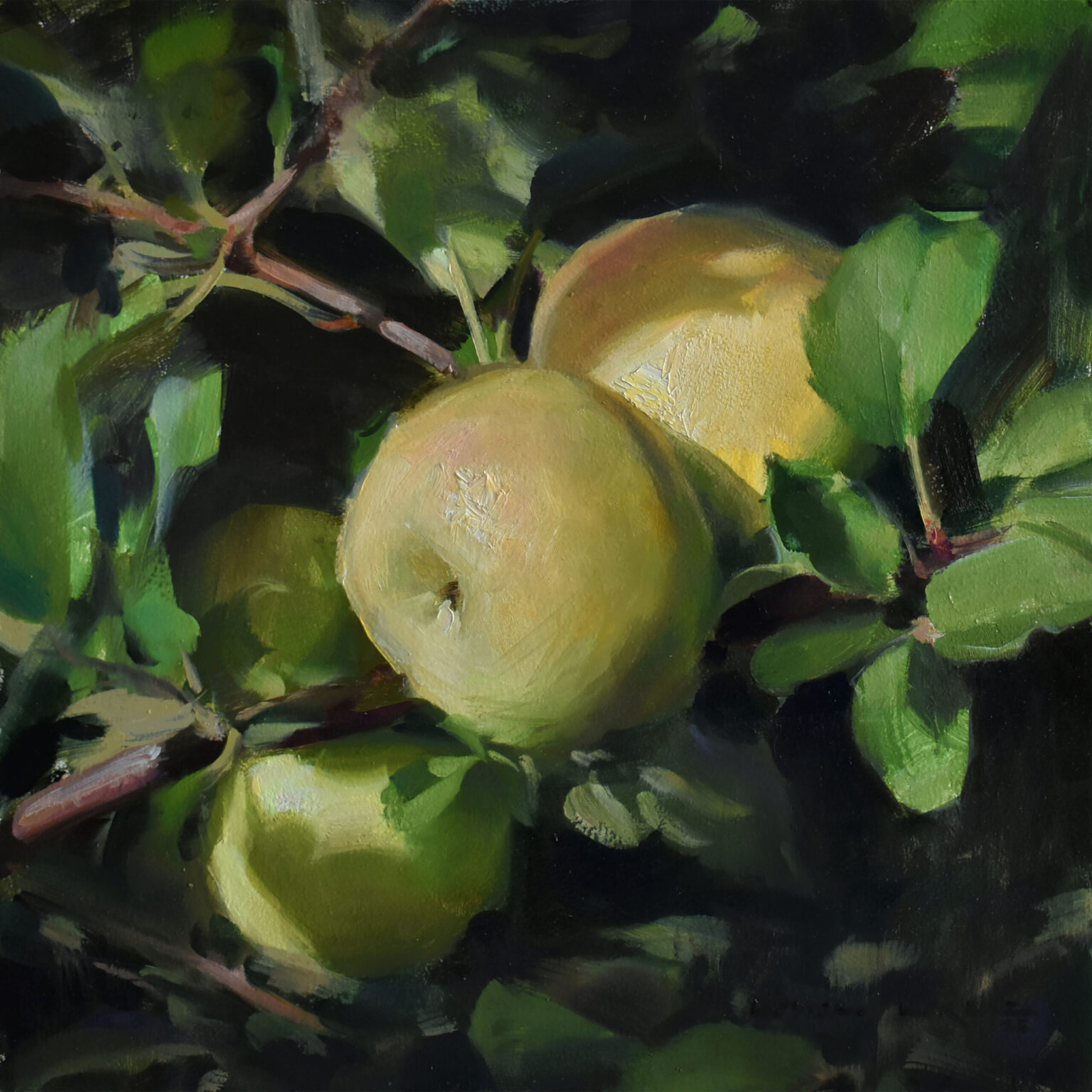 Louisa Lorenz, Apple Picking