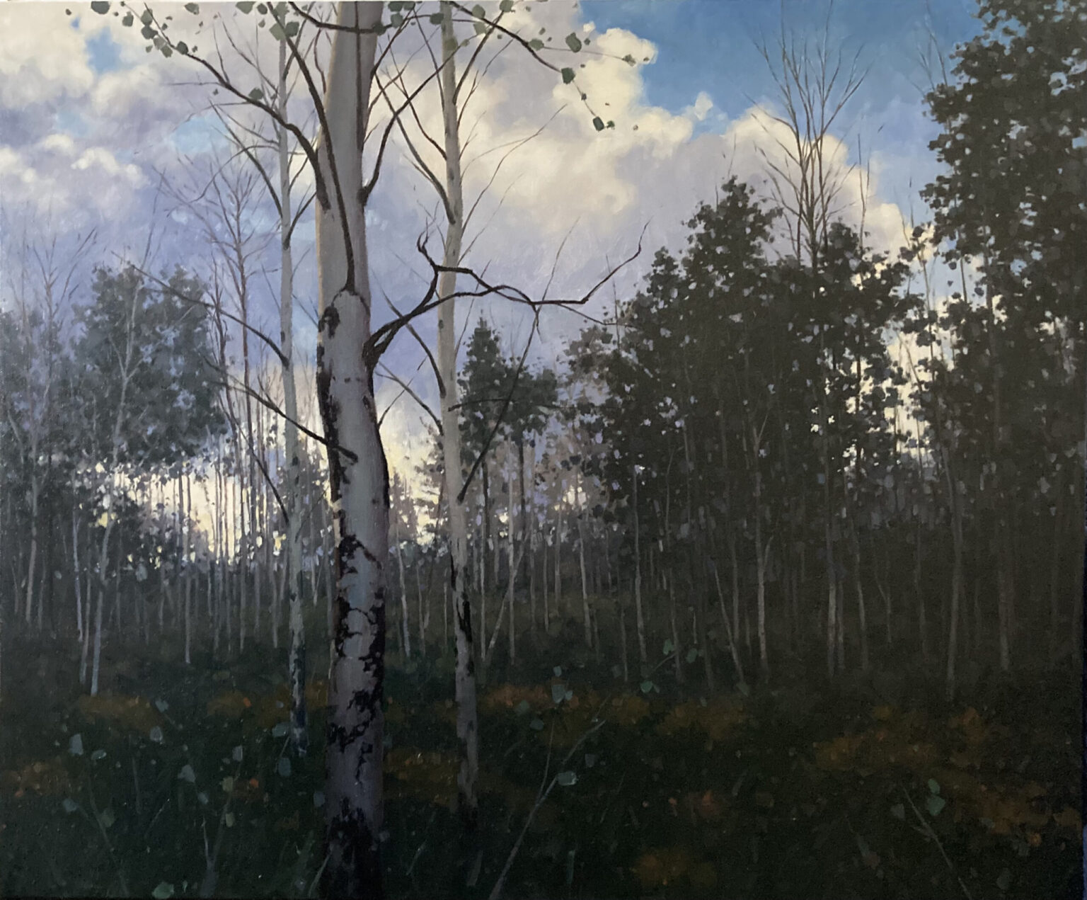 Cristen Miller OPA, Nature&#039;s Empire