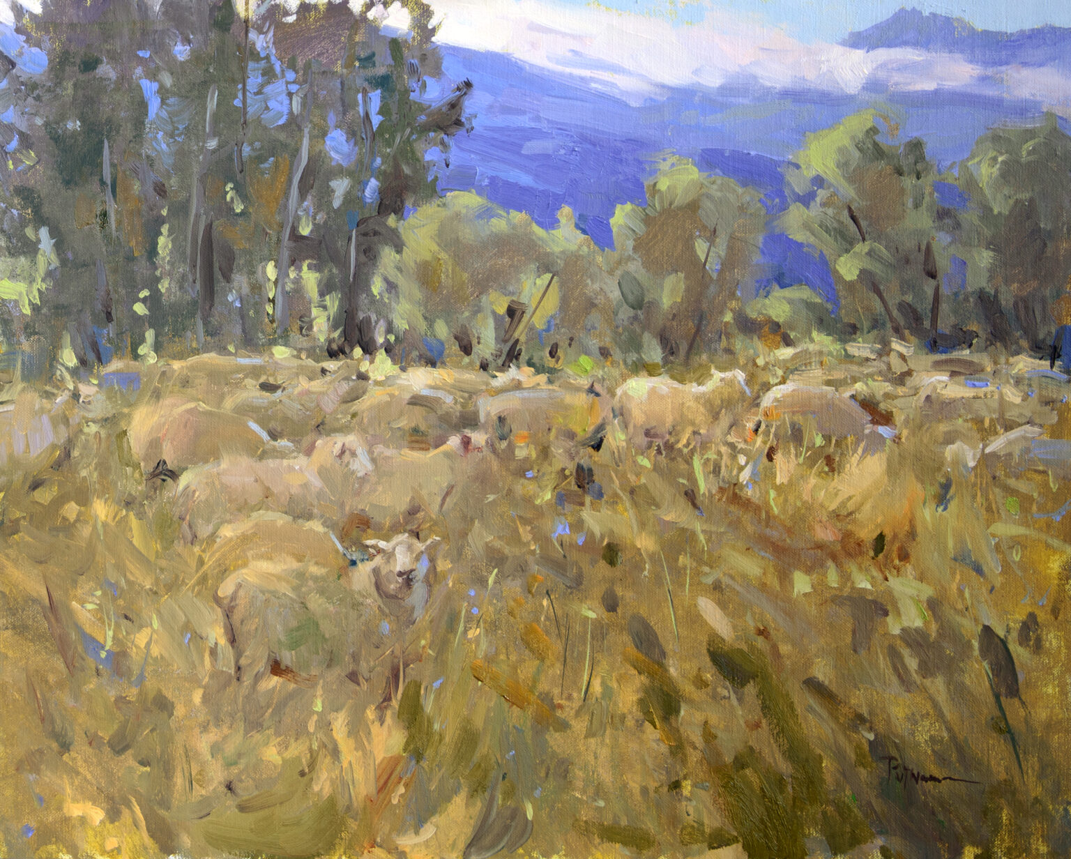 Lori Putnam OPAM, Sheepish