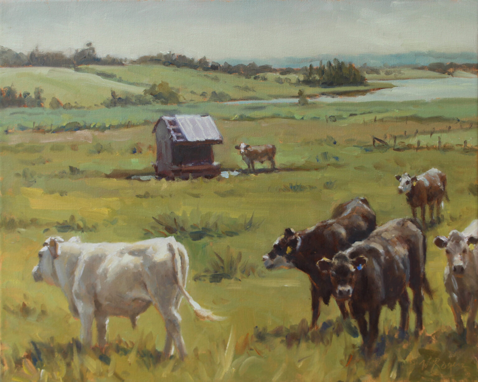William Rogers, Whole Lotta Bull