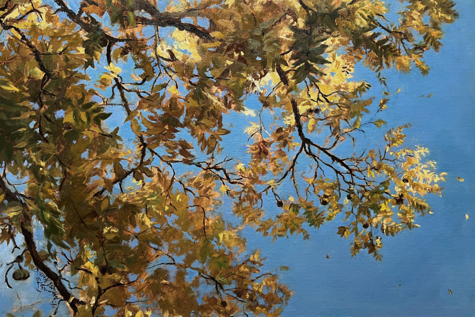 Doreen St. John OPA, Look Up!