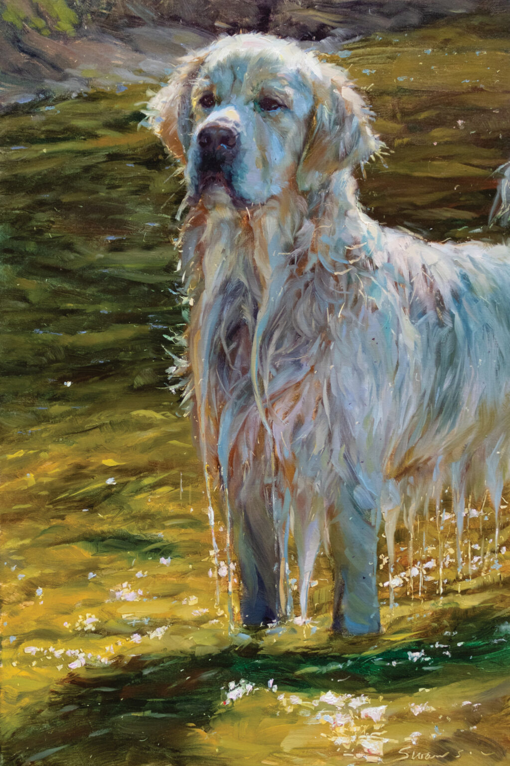 James Swanson OPA, One Wet Dog