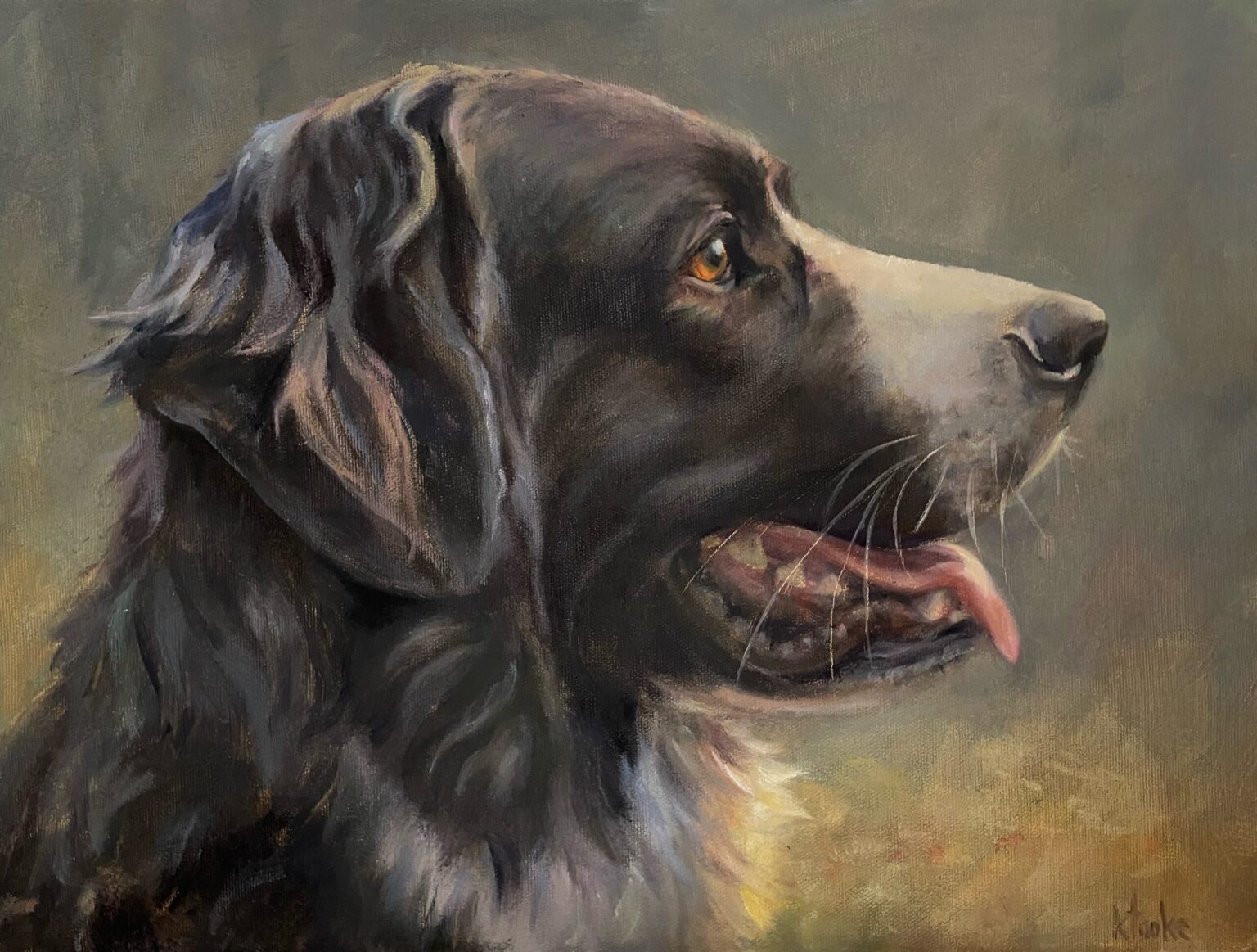 Kate Tooke, Good Boy Banjo