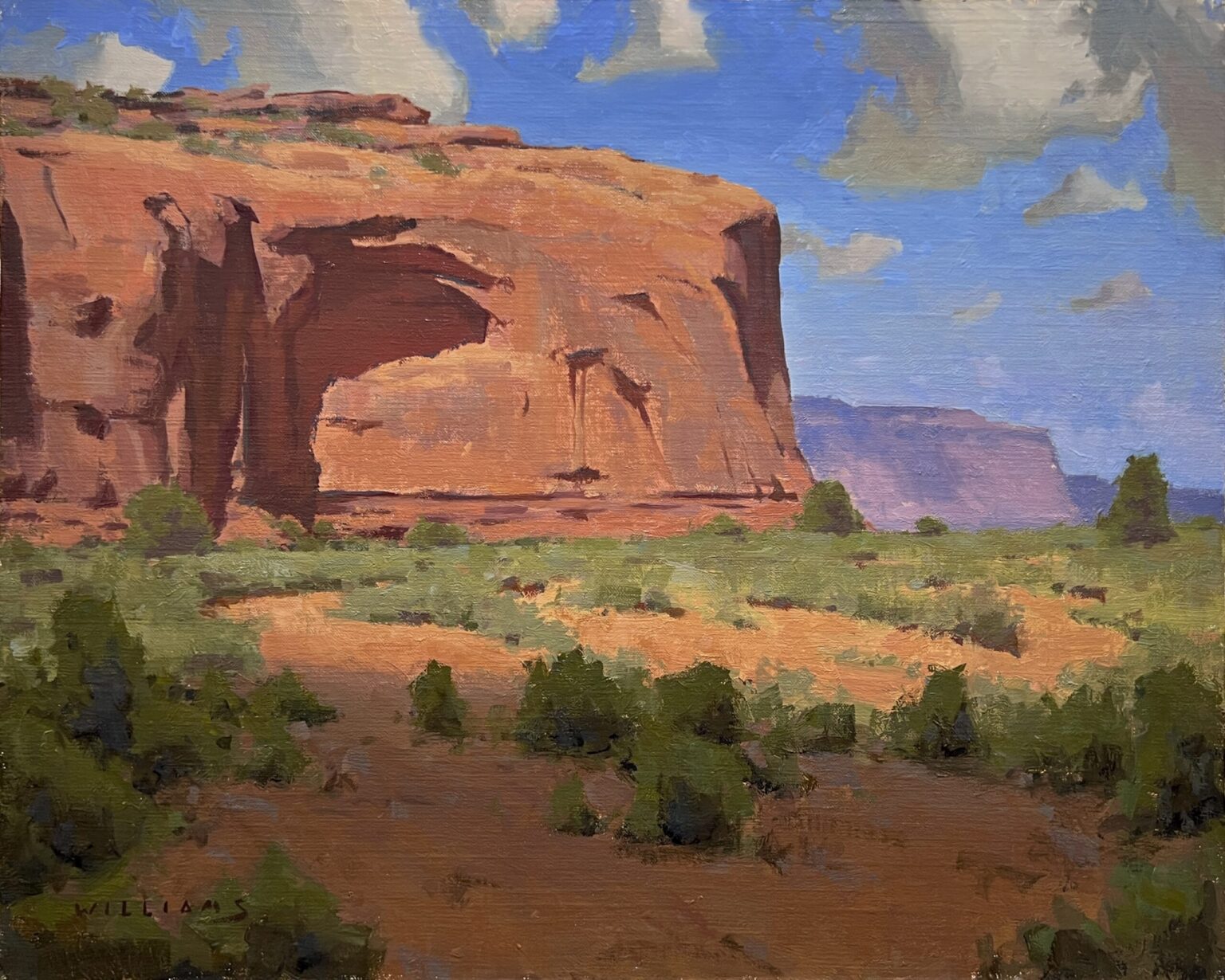 Mason Williams, Desert Rhythm