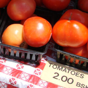 Watercolor – Farm Stand – Still Life, Joanna Coke 2025-2026