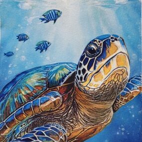 Gulf Coast Sea Turtle, Kris Peterson 2025-2026